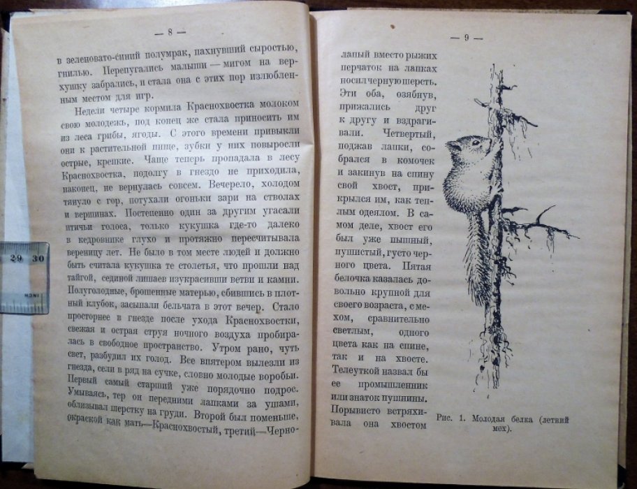 Формозов А.Н. Охотничьи звери и промыслы.