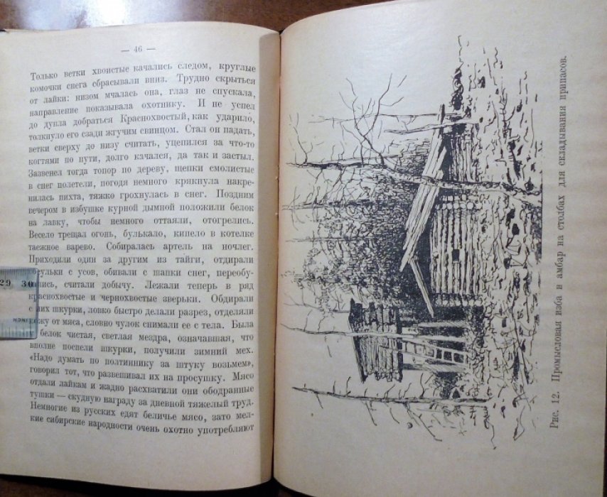 Формозов А.Н. Охотничьи звери и промыслы.