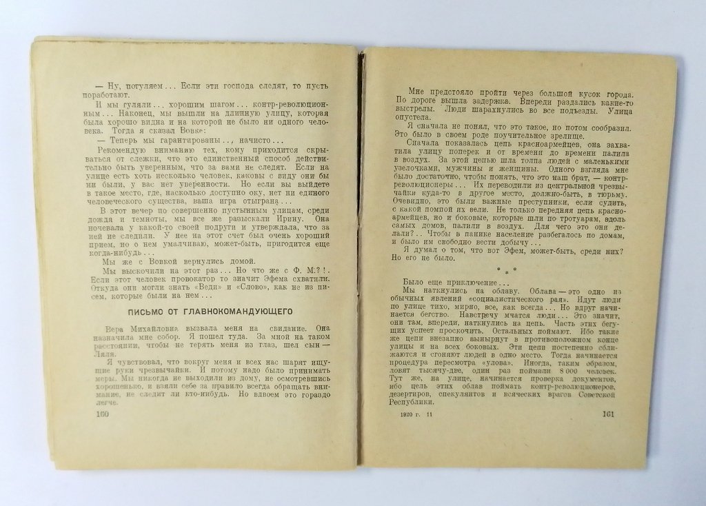 Шульгин, В. 1920 год.