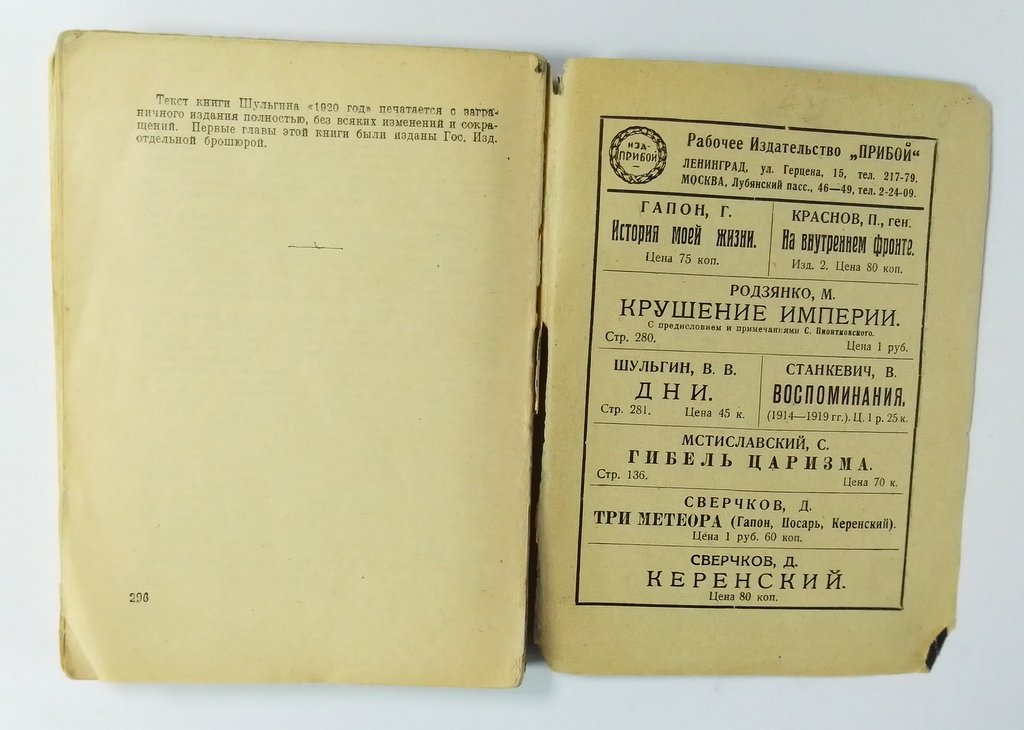 Шульгин, В. 1920 год.