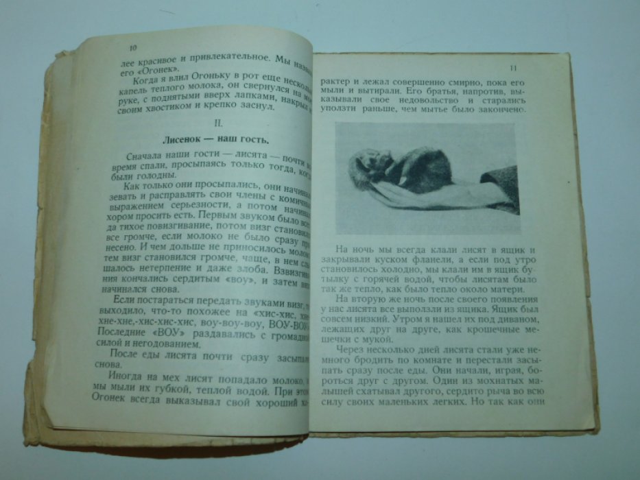 Байнс Е. Огонек. (The Sprite). История одного лисенка