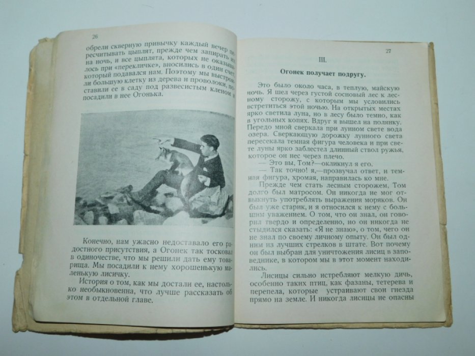 Байнс Е. Огонек. (The Sprite). История одного лисенка