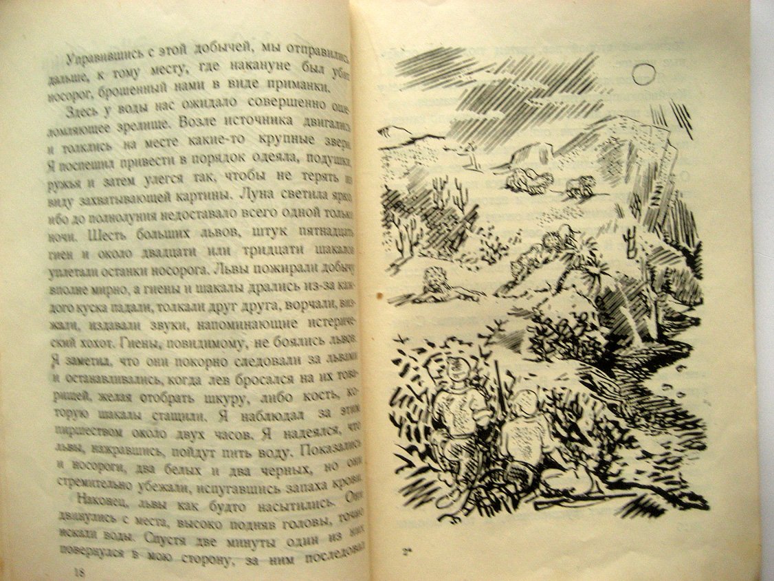 Львы на воле и в плену. Сборник