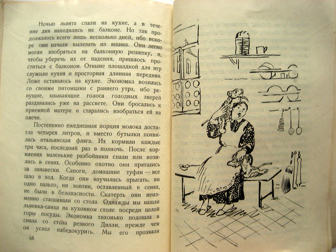 Львы на воле и в плену. Сборник