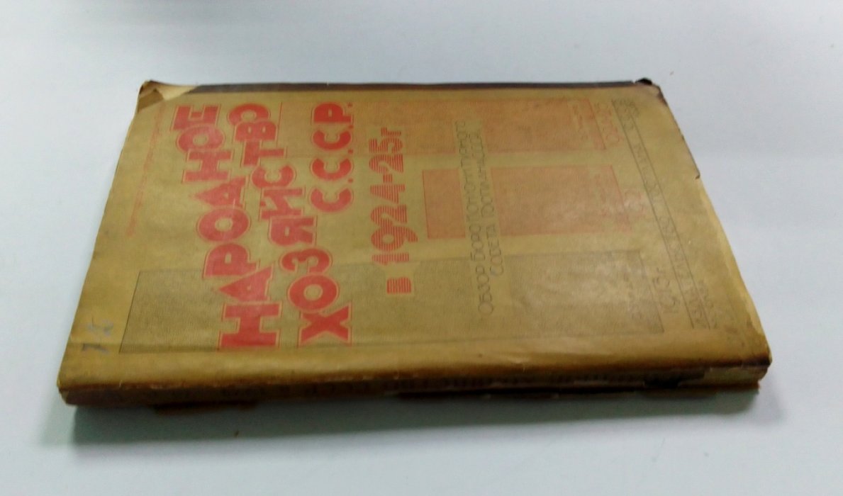 Народное хозяйство СССР в 1924/25 году.