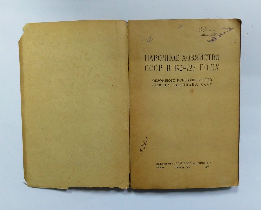 Народное хозяйство СССР в 1924/25 году.