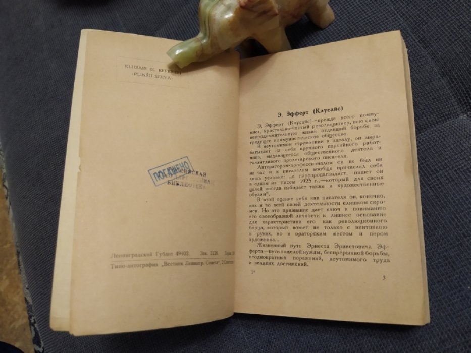 Клусайс (Э.Эфферт).  Женщина с винтовкой.