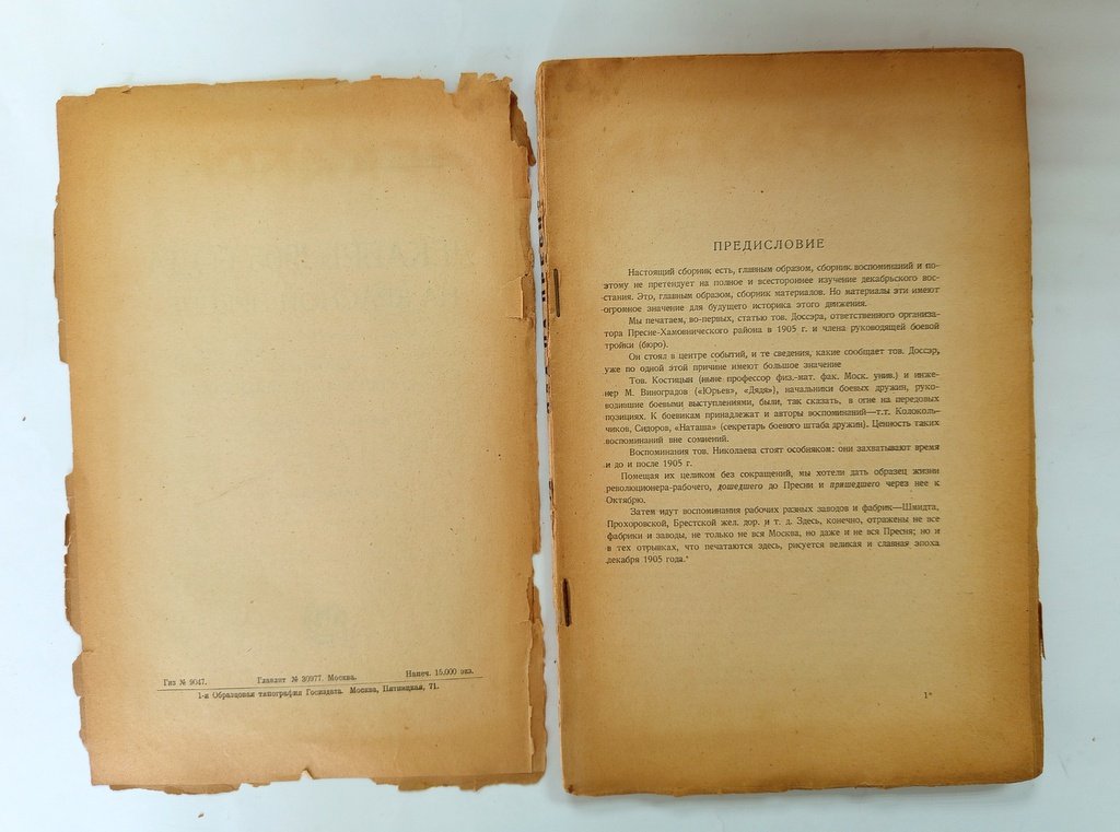 Декабрь 1905 года на Красной Пресне.