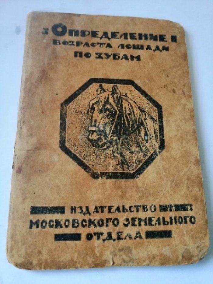 Определение возраста лошади по зубам.