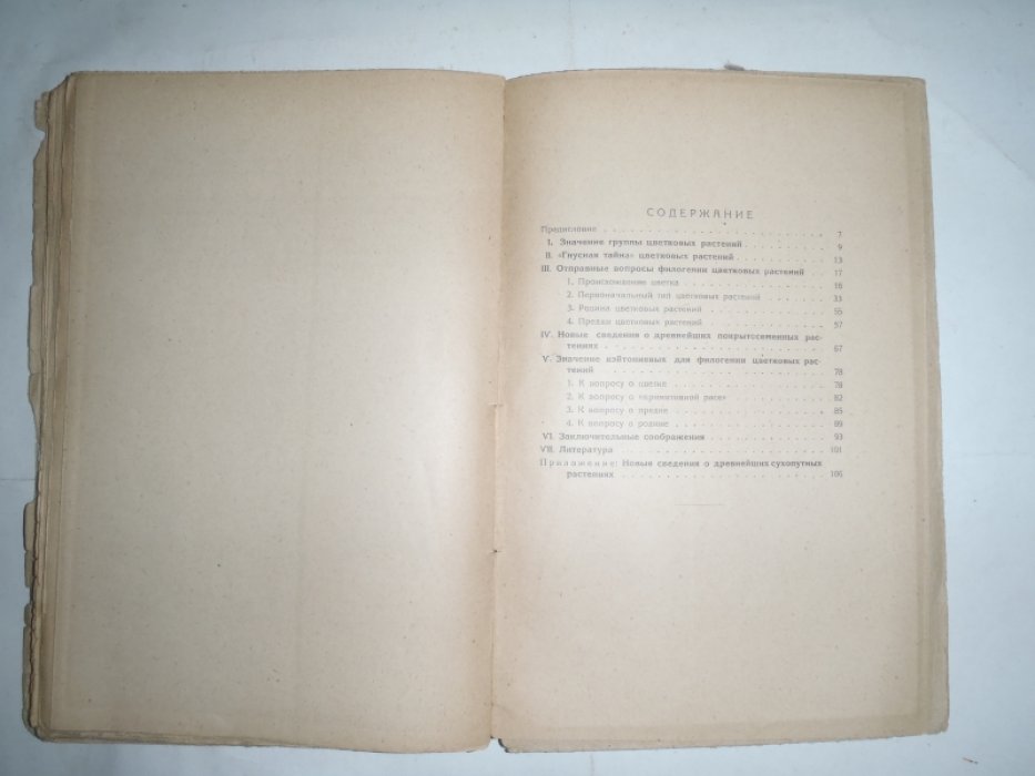 Козо-Полянский Б.М. Предки цветковых растений.
