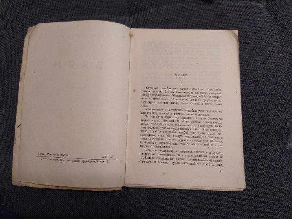 Перегудов А.В. Баян. 