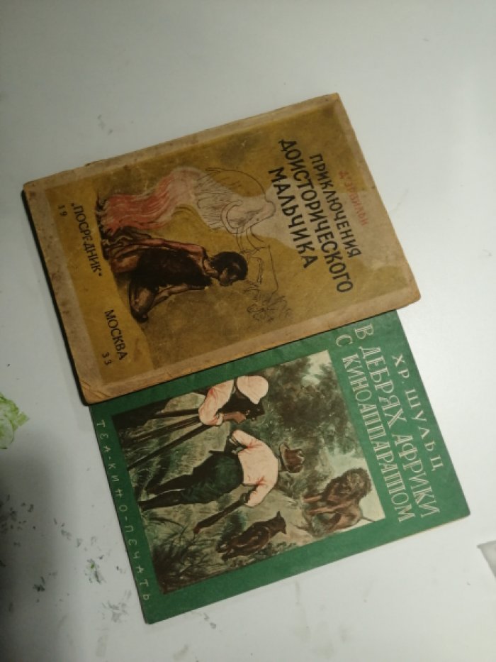 Шульц Хр. В дебрях Африки с киноаппаратом.