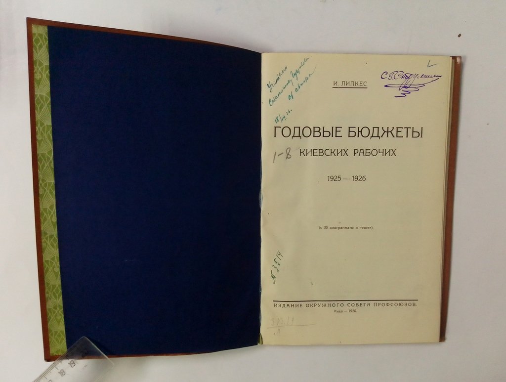 Липкес, И. Годовые бюджеты киевских рабочих.