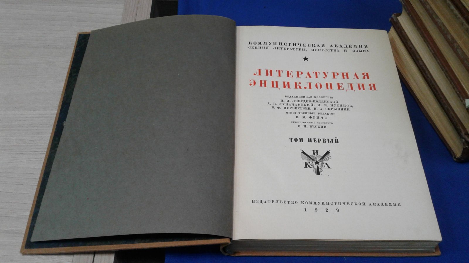 Литературная энциклопедия.