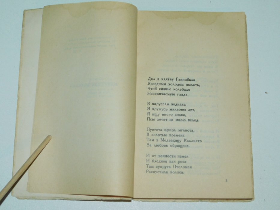 Ширман Григорий. Карусель зодиака.
