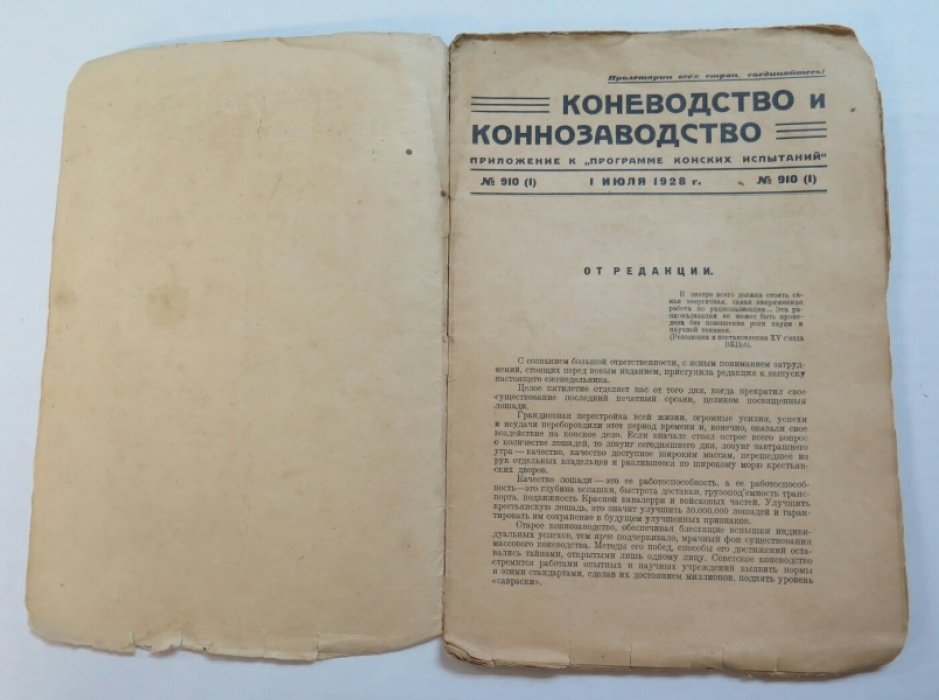 Журнал. Коневодство и Коннозаводство. №910(1)