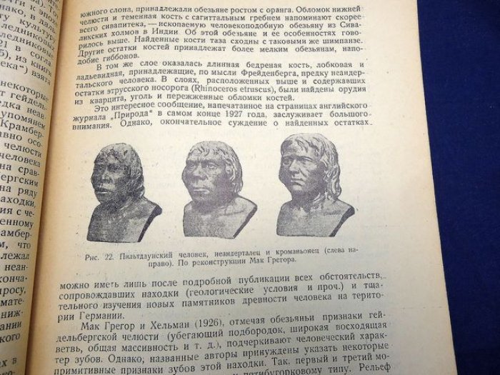 Вишневский Б. Н. Эволюция человека. Новое в палеоантропологии.