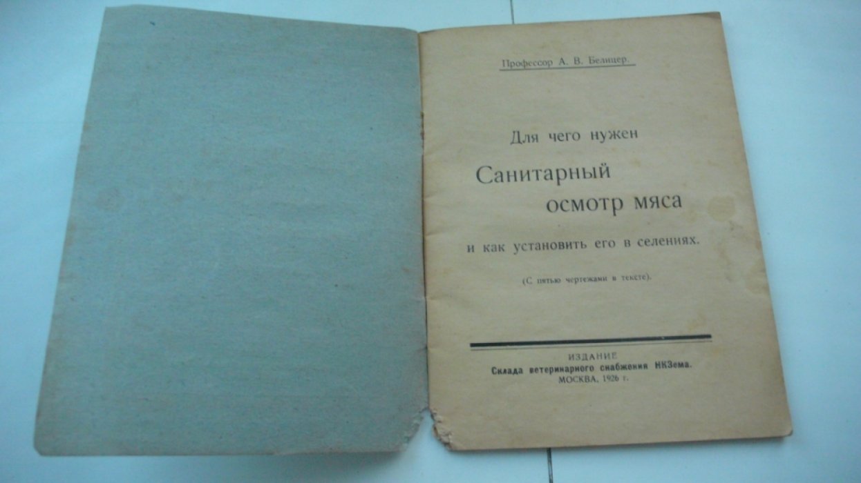 Белицер А.В. Для чего нужен ветеринарный осмотр мяса и как установить его в селениях.