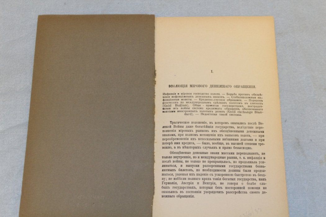 Зворыкин Н.Н. Предстоящая в России финансово-аграрная проблема.