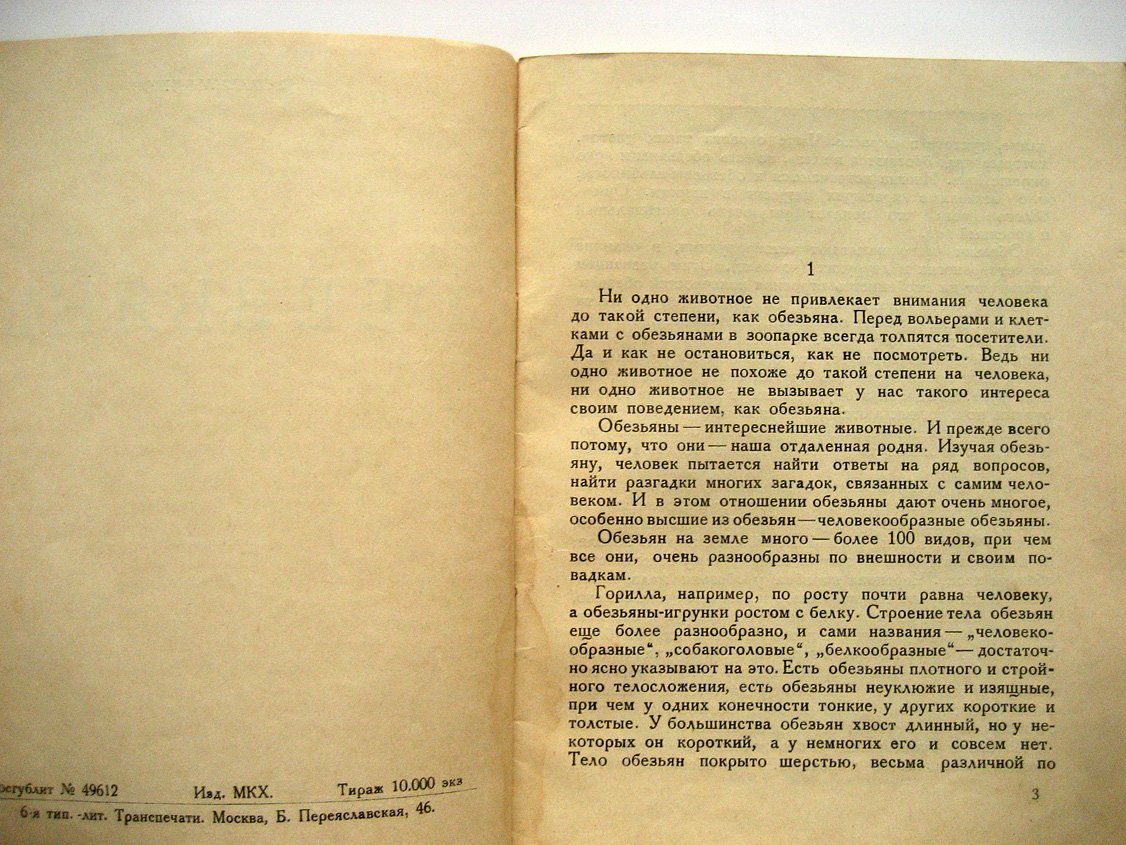 Плавильщиков Н. Обезьяны.