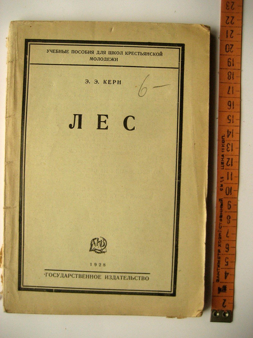 Керн Э. Лес.