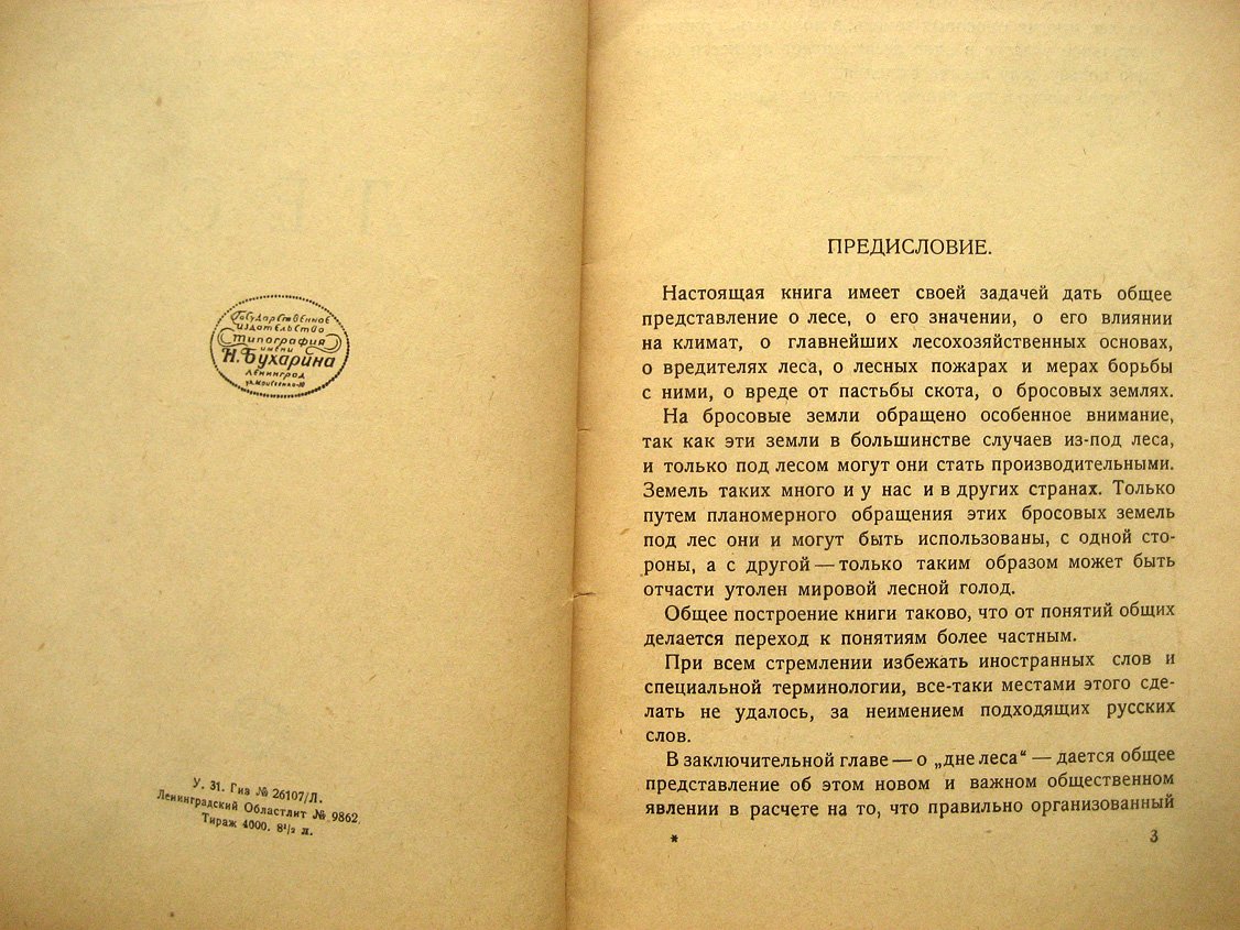 Керн Э. Лес.