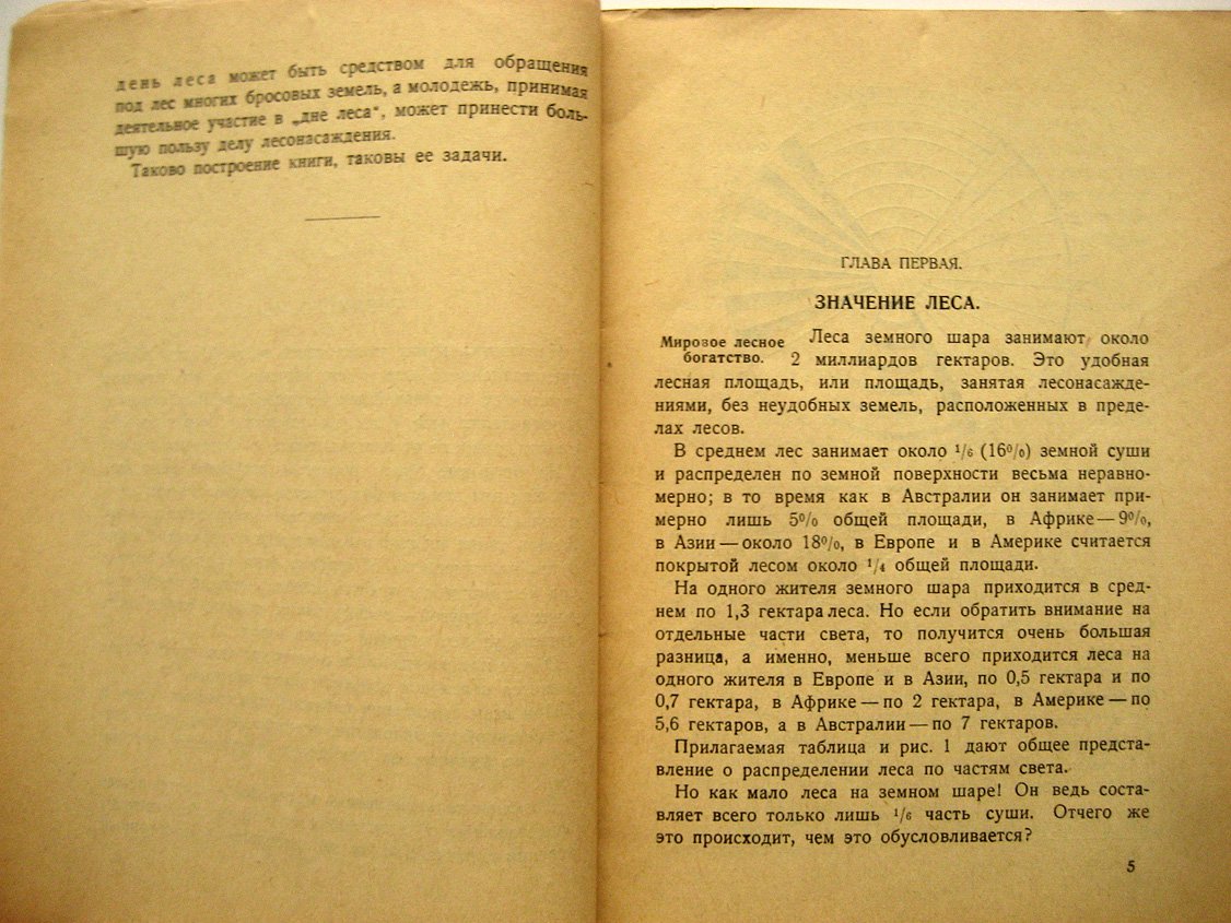 Керн Э. Лес.