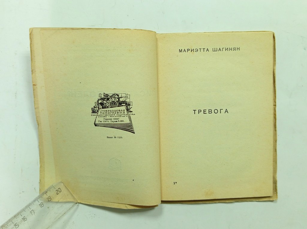 Шагинян Мариэтта, Авербах Леопольд. Писатель болен?