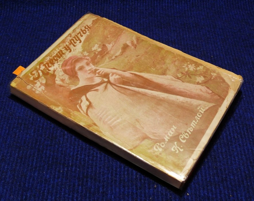 Светлая Каролина. Крест у ручья. (Роман из чешской жизни).