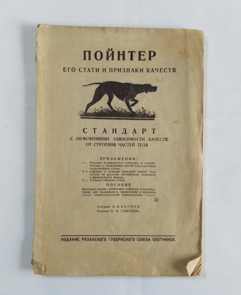 Пойнтер, его стати и признаки качеств.