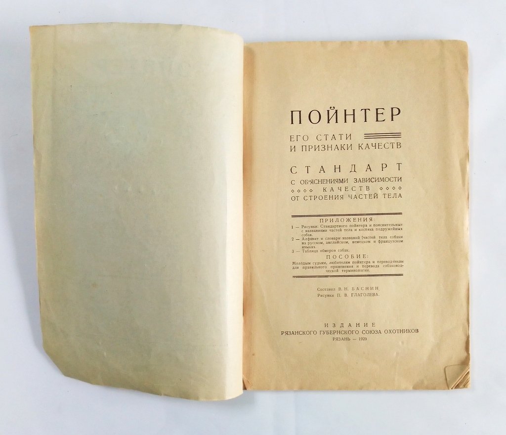 Пойнтер, его стати и признаки качеств.