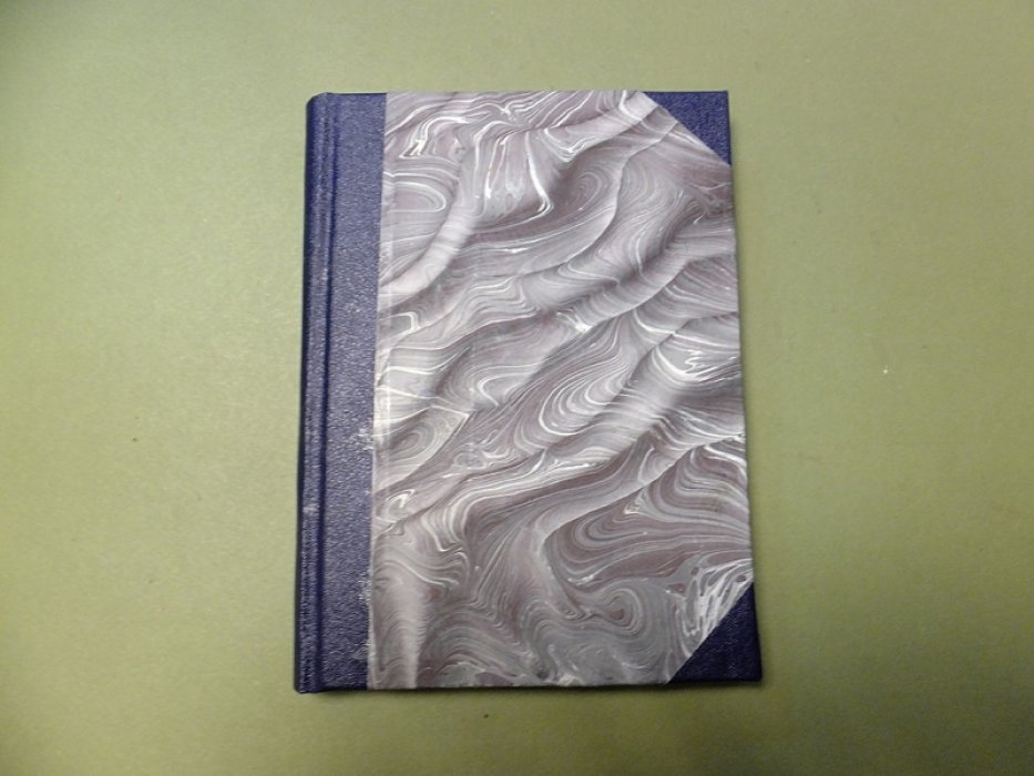 Рождественский Вс. Гранитный сад. Книга лирики. 1923-1928.