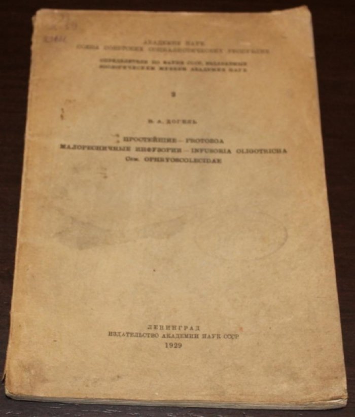 Догель В.А. Простейшие - Protozoa. Малоресничные инфузории - Infusoria oligotricha. Сем. Ophryoscolecidae.