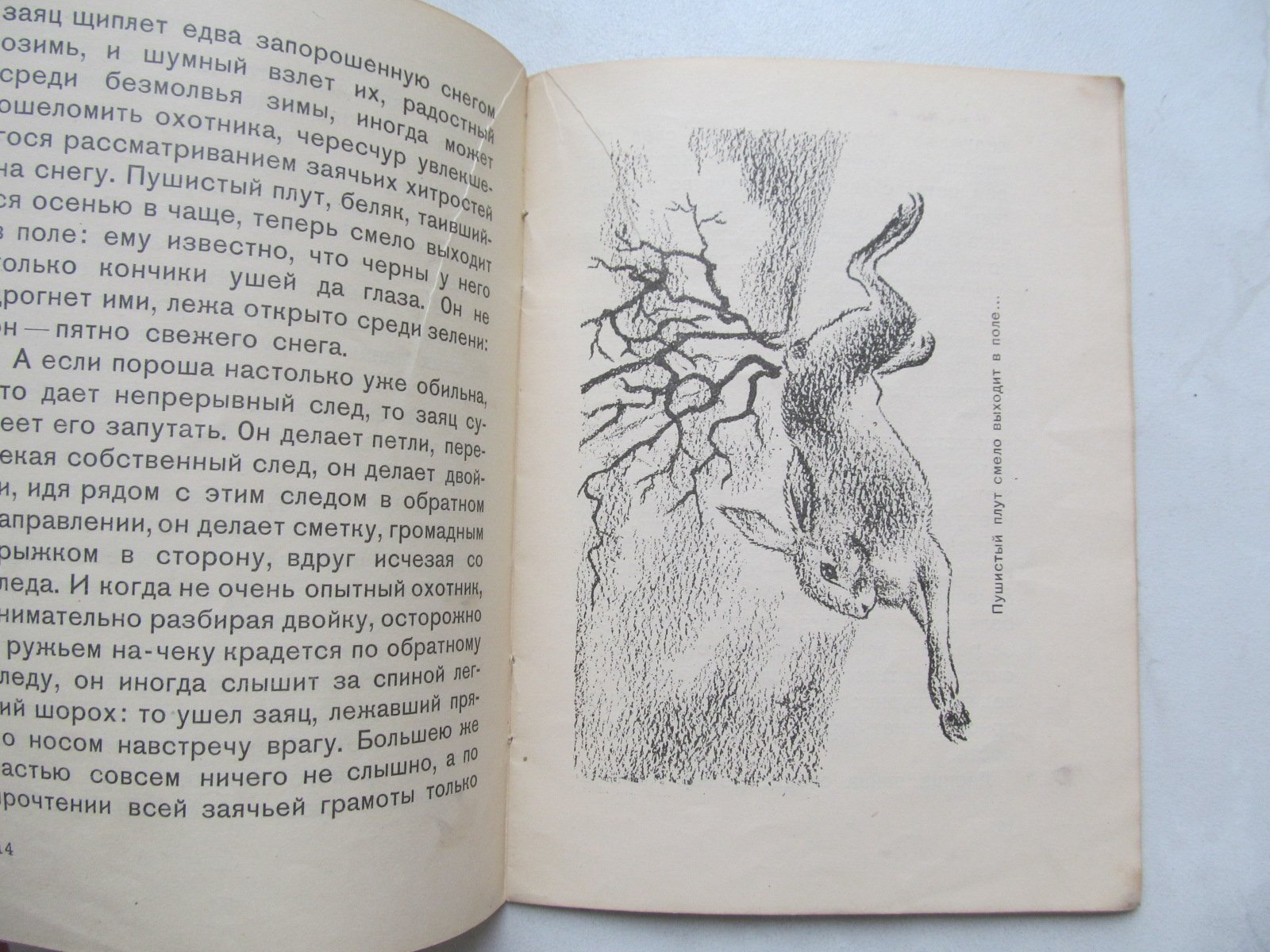 Лесник. Первый снег. Рисунки А. Борисова