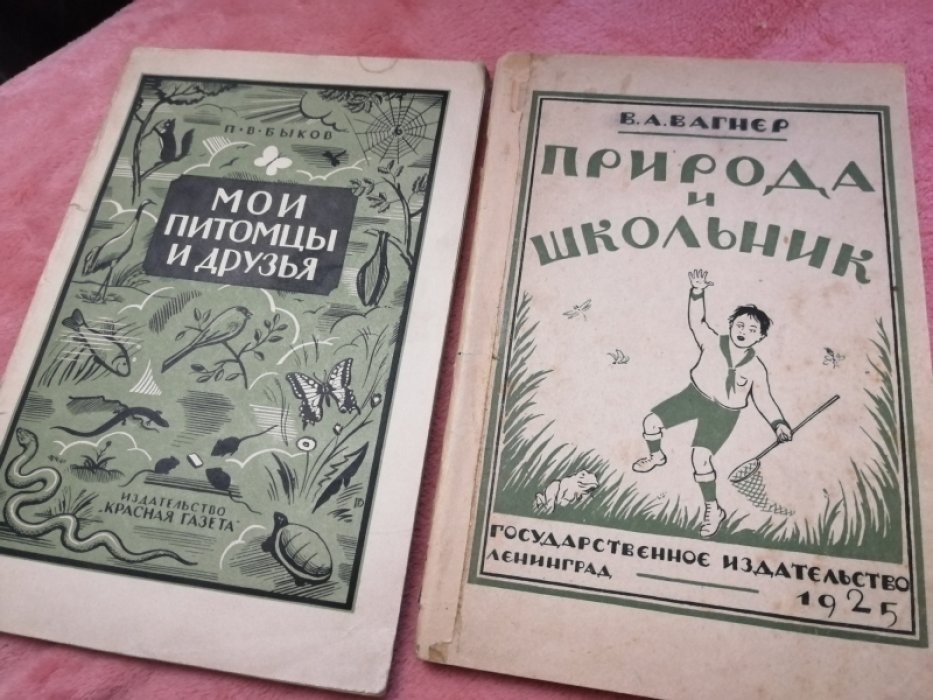 Вагнер В.А. Природа и школьник.