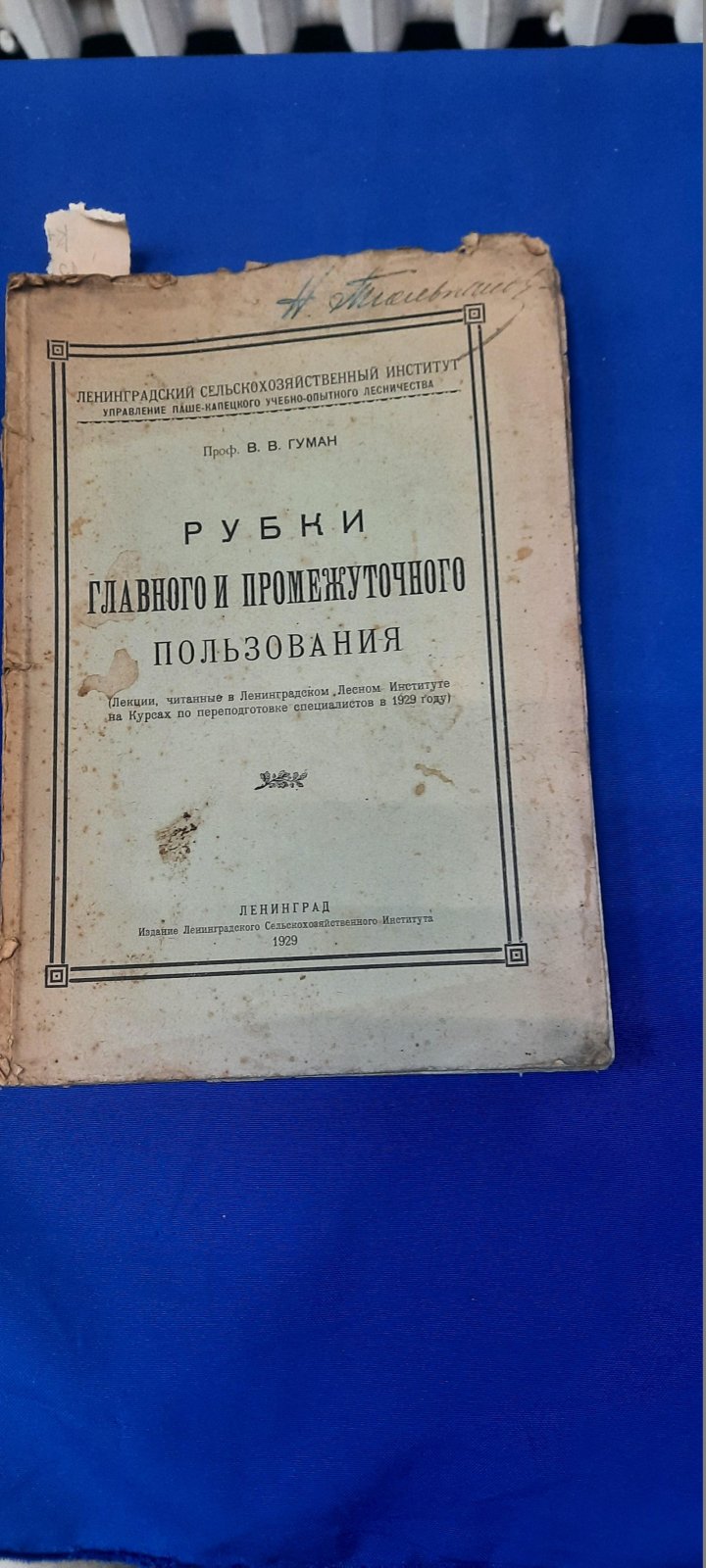 Гуман В.В., проф. Рубки главного и промежуточного пользования.