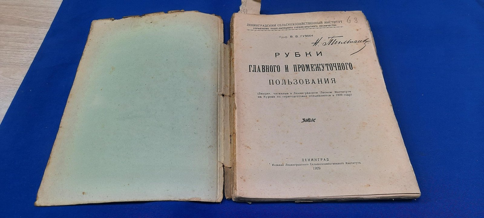 Гуман В.В., проф. Рубки главного и промежуточного пользования.