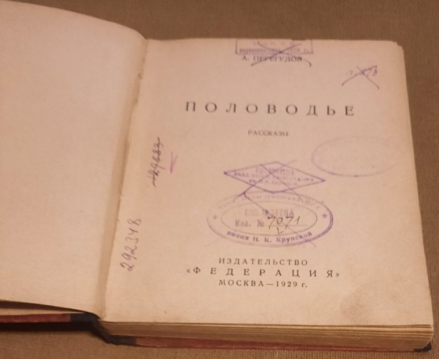 Перегудов А. Половодье.