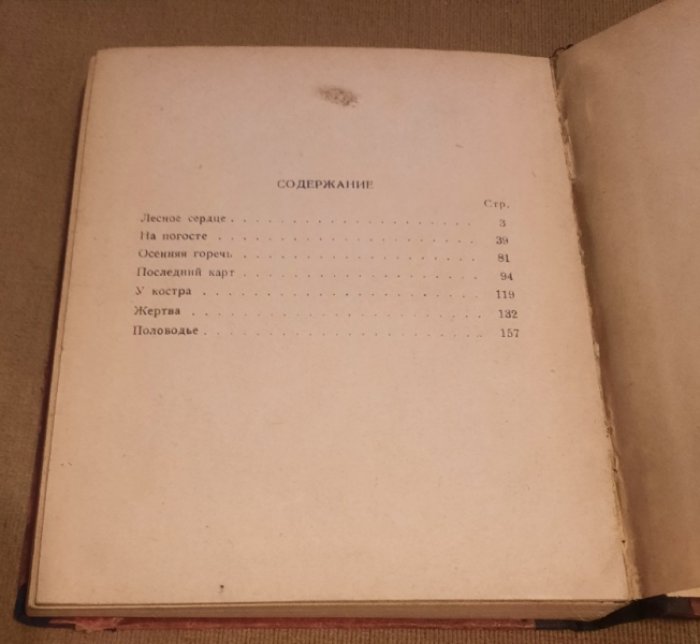 Перегудов А. Половодье.