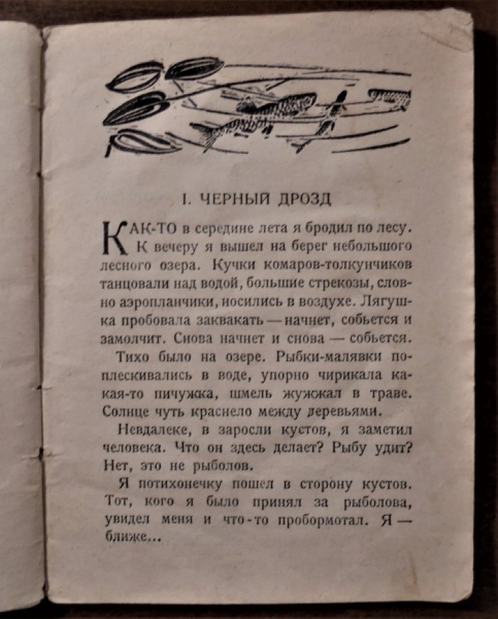 Плавильщиков Н. Лесное озеро.