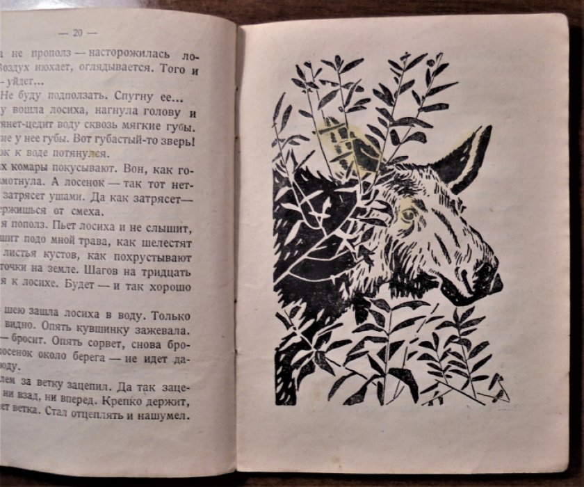 Плавильщиков Н. Лесное озеро.