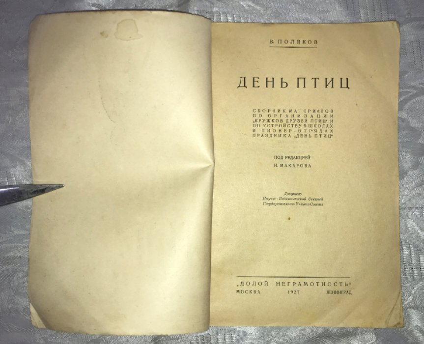 Поляков В. День птиц.