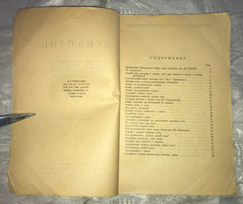 Поляков В. День птиц.