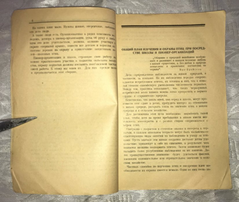 Поляков В. День птиц.