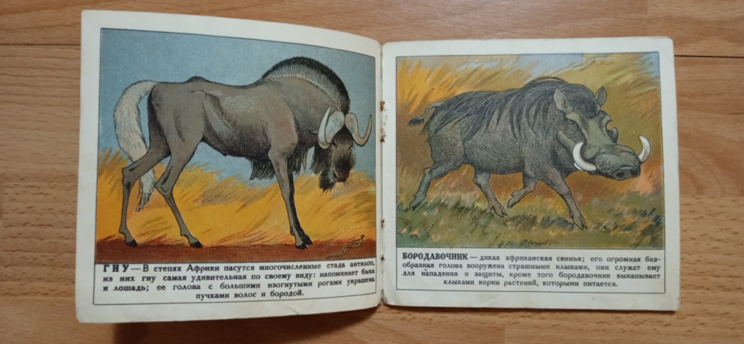 Ватагин В. Звери и птицы самые странные.