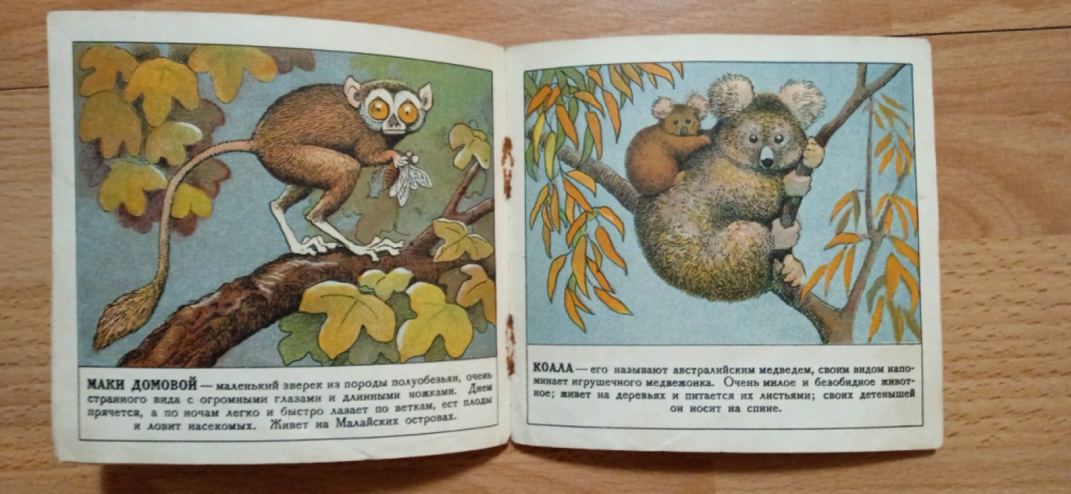 Ватагин В. Звери и птицы самые странные.