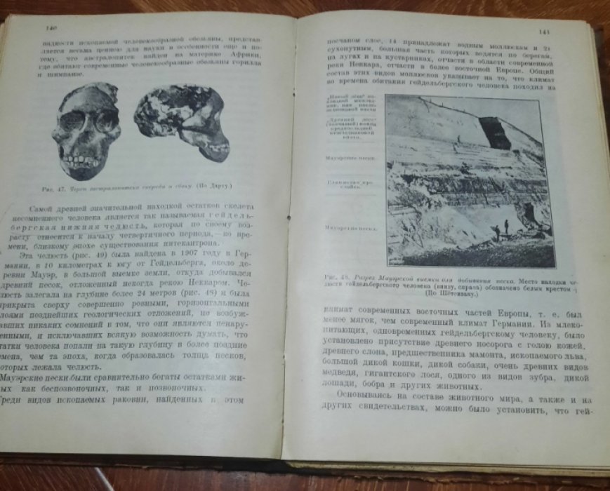 Жуков Б.С. Происхождение человека.