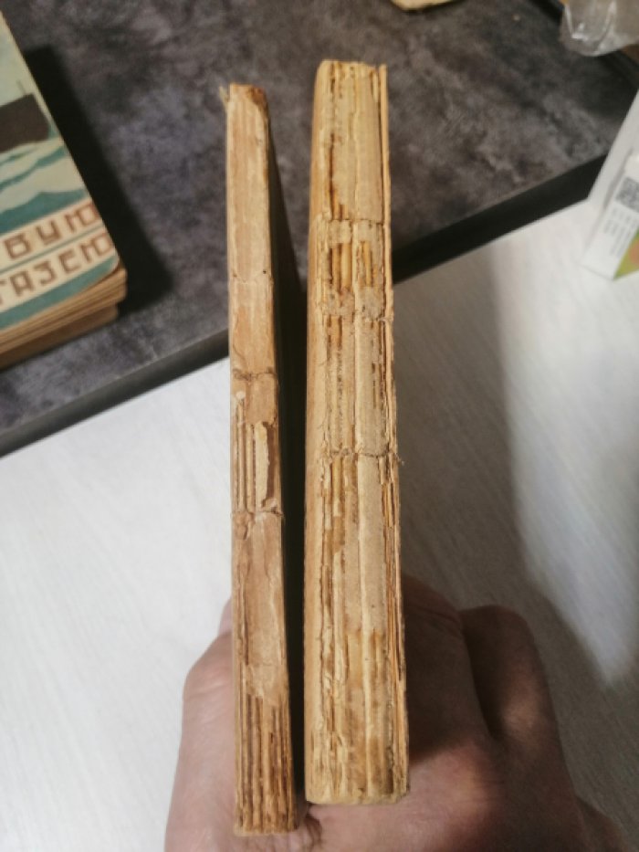 Бриджес Т. Книга открытий.