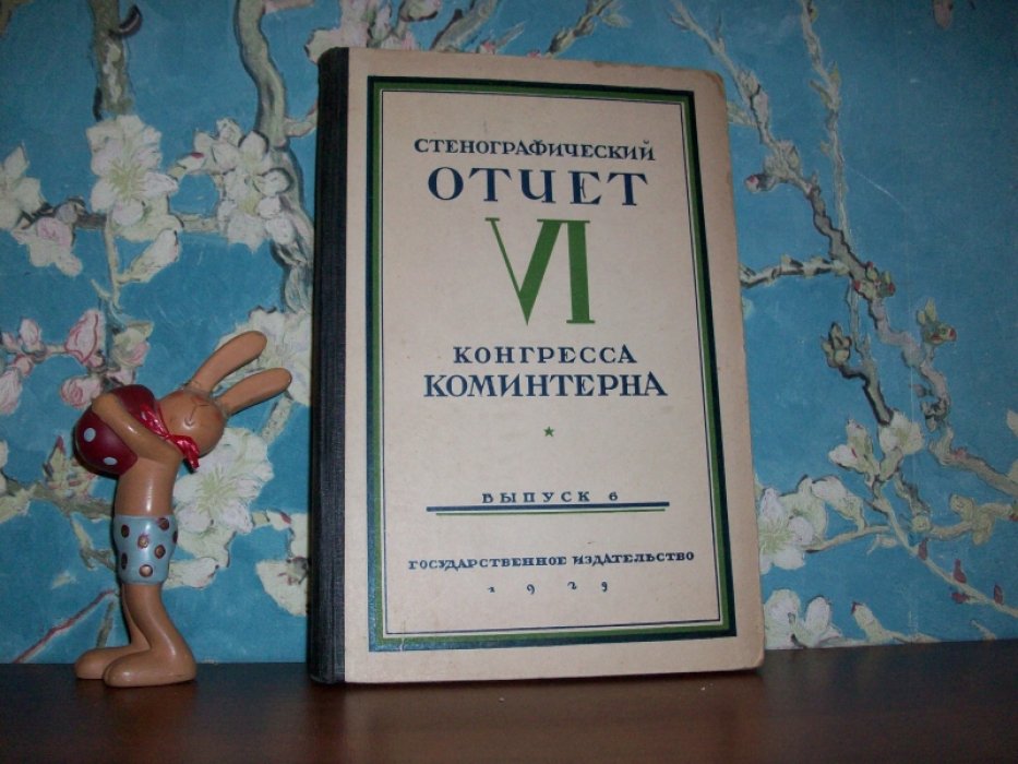Стенографический отчет VI Конгресса Коминтерна.