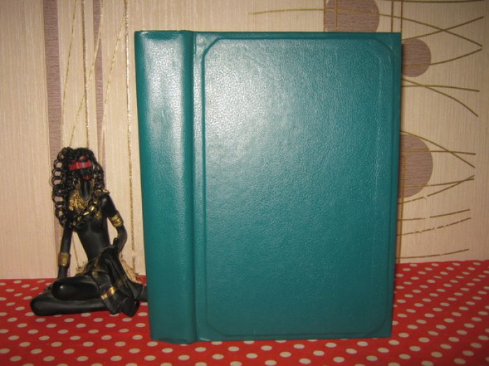 Ден В.Э., Профессор. Курс экономической географии.